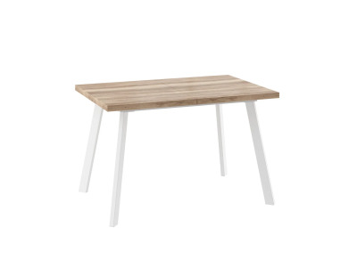 Стол BORG-120 раздвижной 120(160)х80 Дуб Каньон\Белый